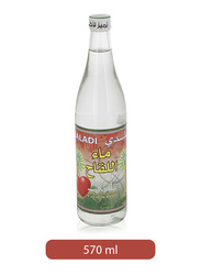 Baladi Palm Water Bottle, 570ml