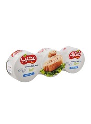 Ajeeb White Meat Tuna Water - 3 x 170G