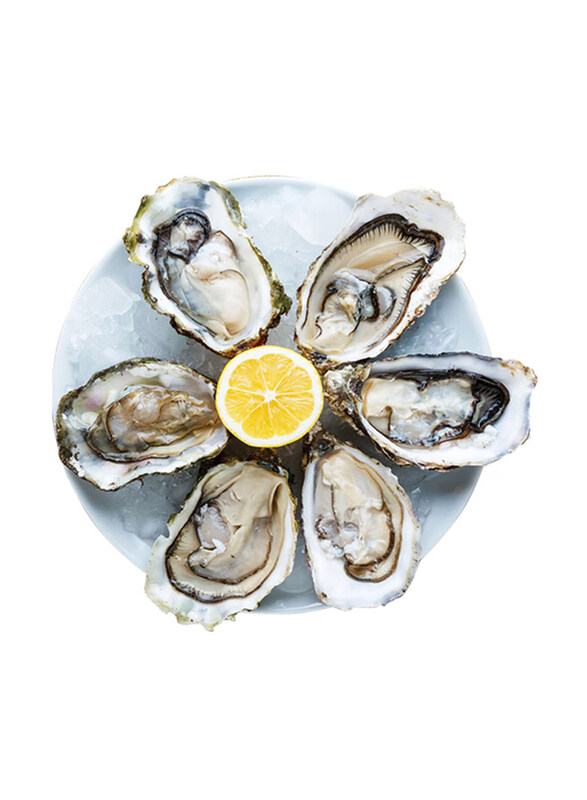 

Generic Dibba Oyster Mix, 6 Pieces
