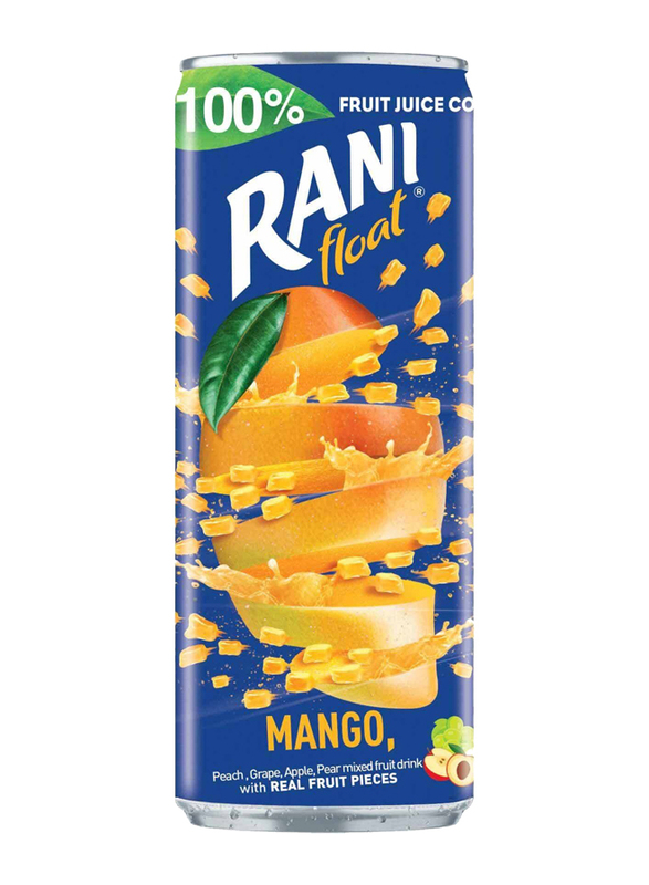 Rani Float Mango No Added Sugar Fruit Drink, 240ml