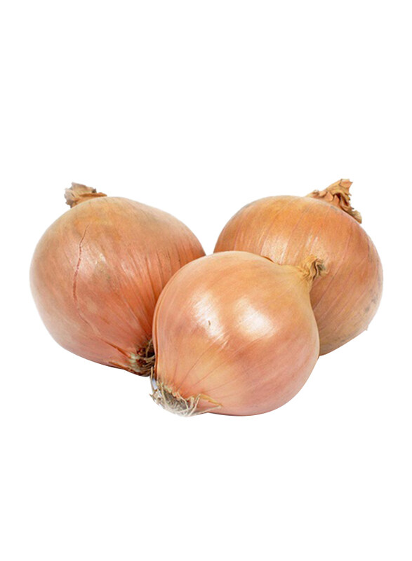 

Generic Brown Onion Spain, 1 Kg