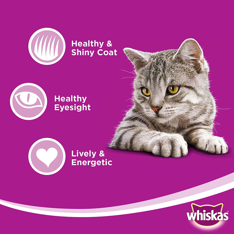 Whiskas Hairball Control with Chicken & Tuna Dry Cat Food, 1.1 Kg