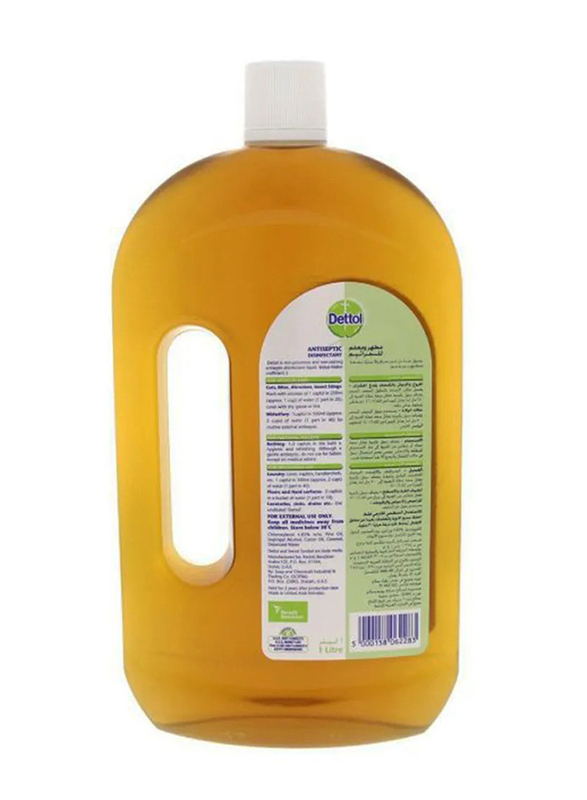 Dettol Anti-Bacterial Antiseptic Disinfectant Liquid, Green/Brown, 2x1 LPters