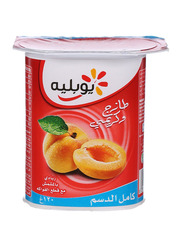 Yoplait Apricot Flavoured Full Fat Yogurt, 120g