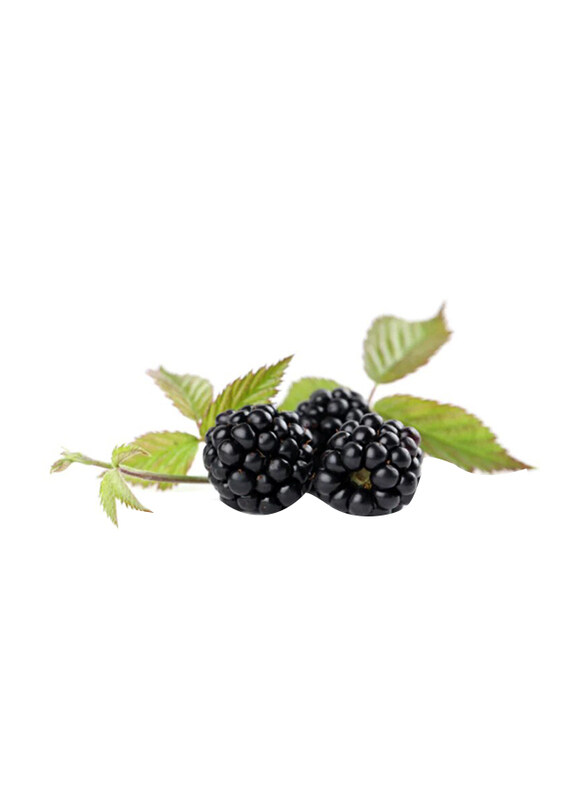

Generic Black Berry, Pieces