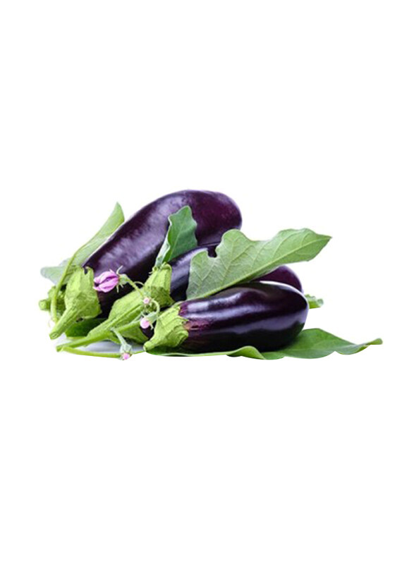 

Generic Organic Bio Farm Eggplant, 1 Packet