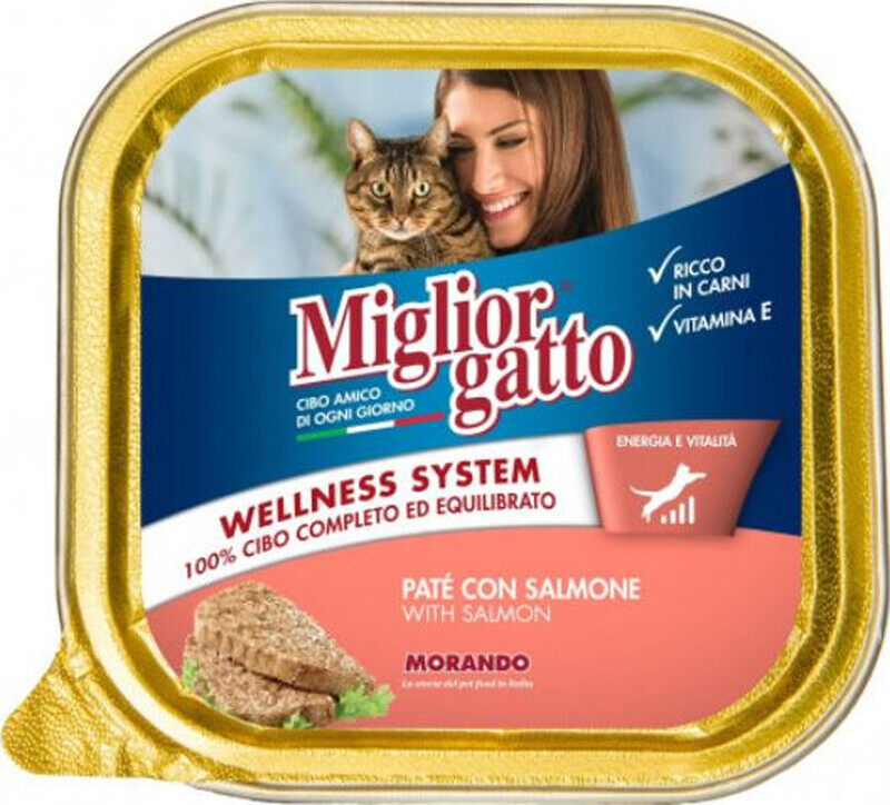 

Miglior Gatto Pate Salmon Cat Wet Food, 100g
