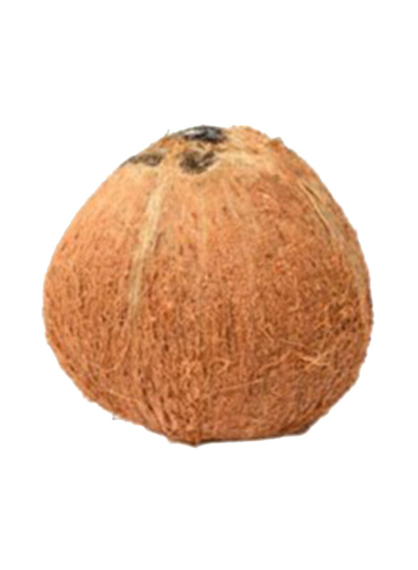 

Generic Dry Coconut India, 1 Piece