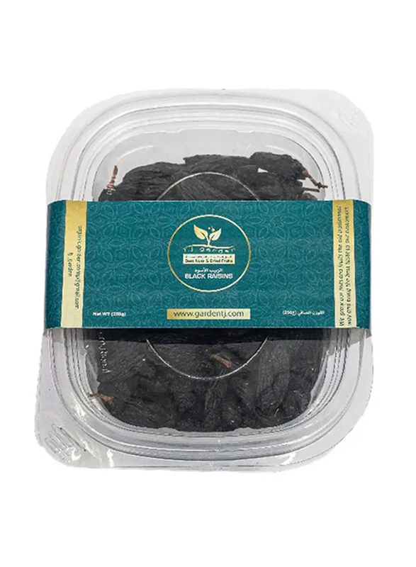 T.J Garden Black Raisins, 250g