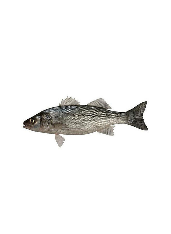 

Generic Sea Bass, 1Kg