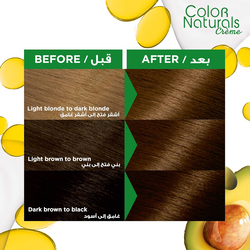 Garnier Colour Naturals Crème Haircolor, 110ml, 5.3 Light Golden Brown