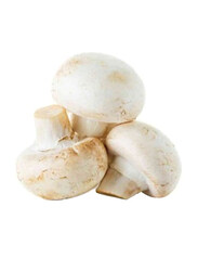 Kinoko White Button Mushroom