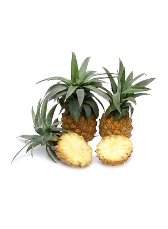 

Generic Baby Pineapples South Africa