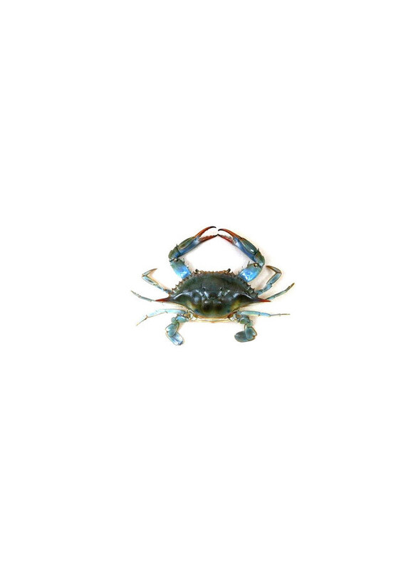 

Generic Local Blue Crab, 500g
