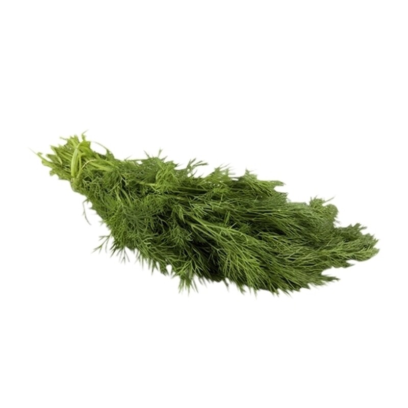 

Fresh Dill, Piece