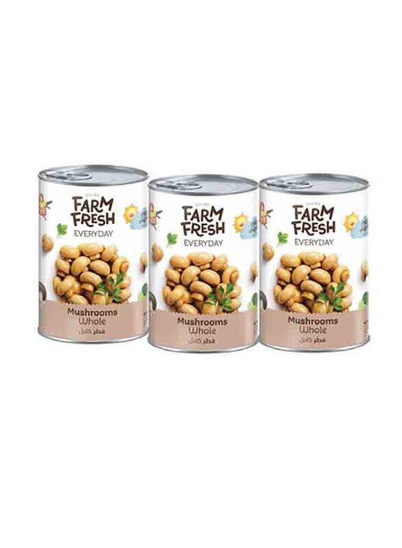 

Farm Fresh Mushrooms Whole, 3 x 425g