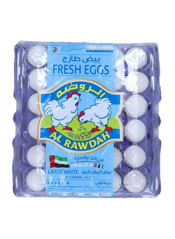 

Al Rawdah White Large Egg Fresh, 30 Pieces
