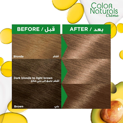 Garnier Colour Naturals Crème Haircolor, 110ml, 7 Blonde