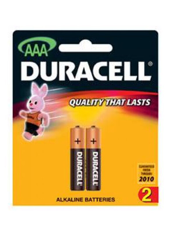 

Duracell AAA Alkaline Battery, 2 Pieces, Black/Brown