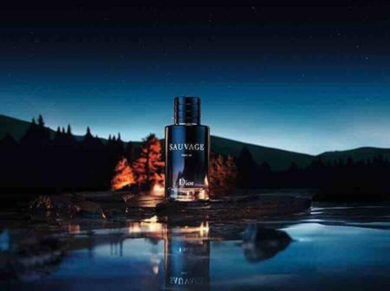 

Christian Dior CHRISTION DIOR SAUVAGE parfum