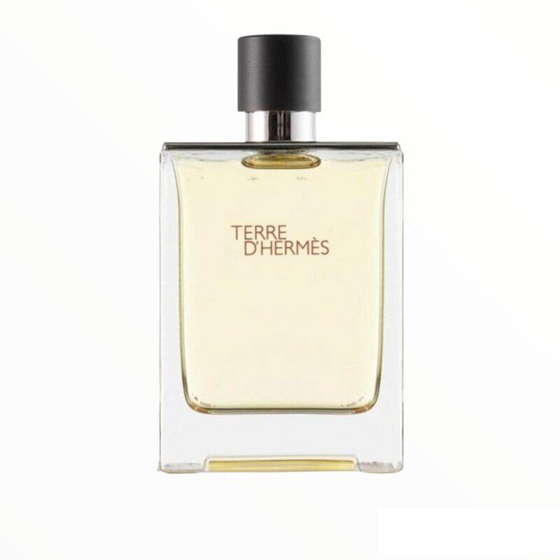 

Terre De Hermes Eau De Toilette 100Ml
