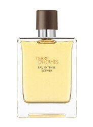 Hermes Terre D' Hermes 100ml EDP for Men