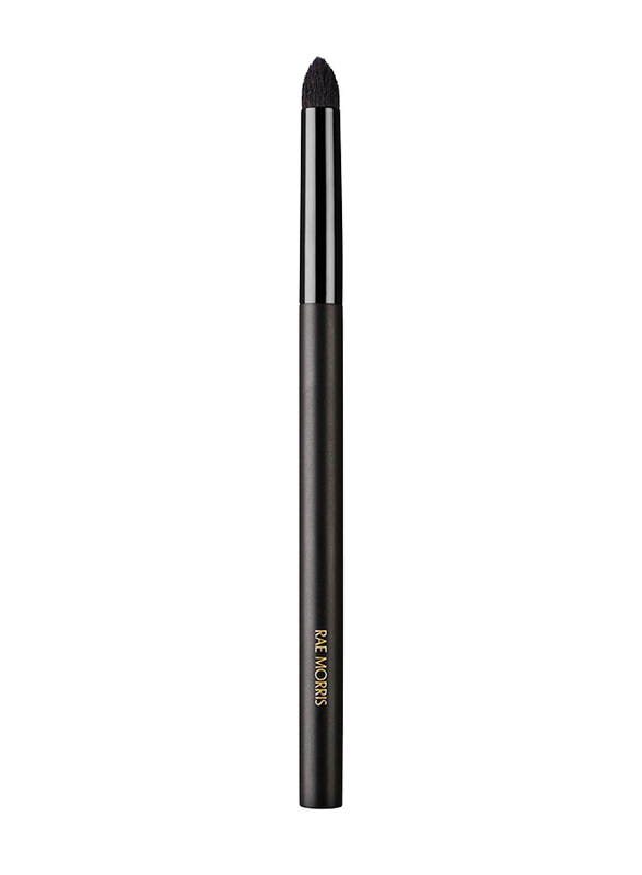 

Rae Morris 9: Detail Point Shader Jishaku Brush, Black