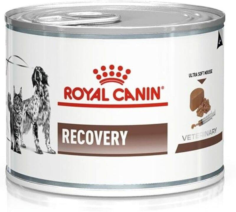 

Royal Canin Vet Dog/Cat Recovery Dog Food, 195 g