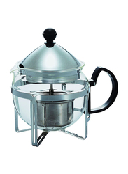 Hario Chaor 2-Cup Tea Maker, CHAN-2SV, Silver