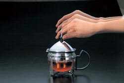 Hario Chaor 4-Cup Tea Maker, CHA-4SV, Silver