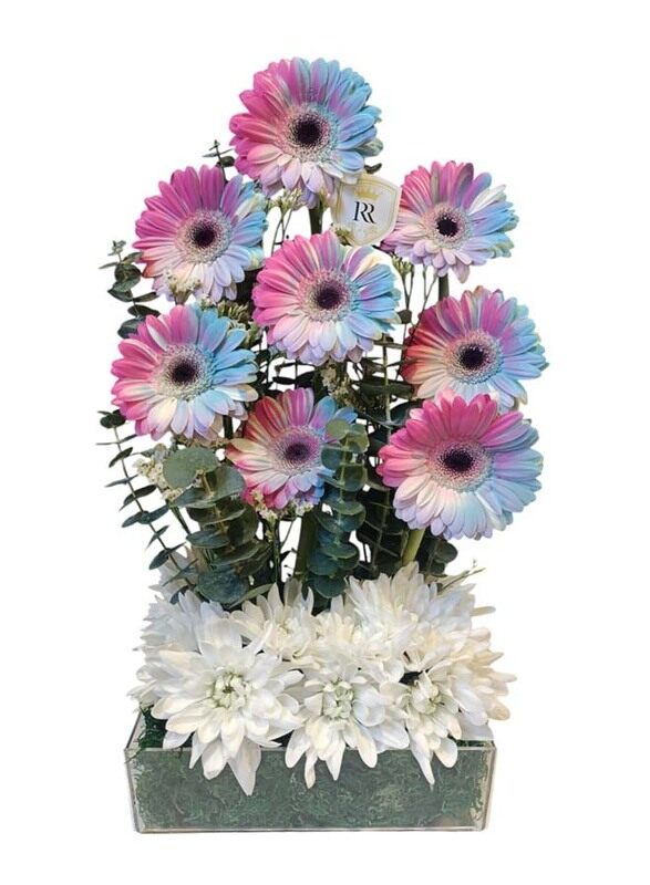 

Rich n Royal Flowers Rainbow Daisy Tower, Multicolour
