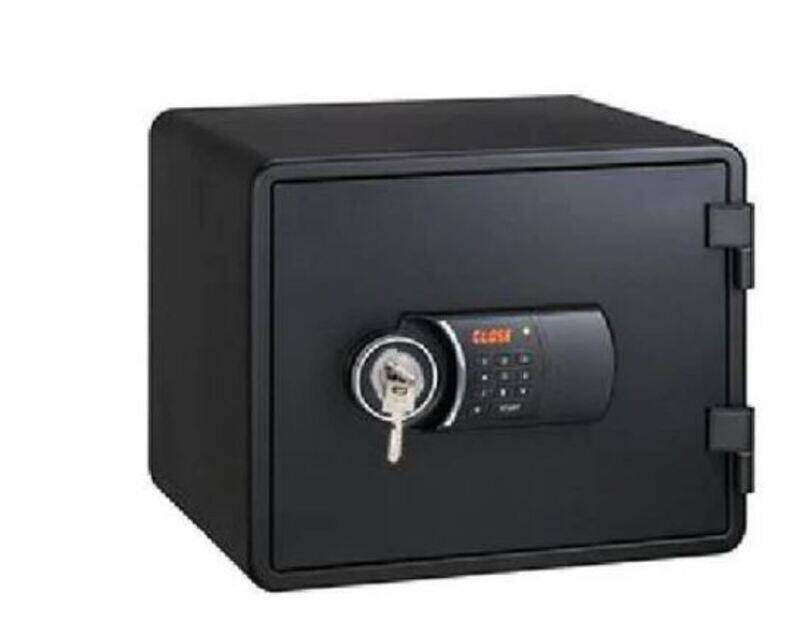 

Eagle YES-M020K Fire Resistant Safe, Digital and Key Lock (Black)