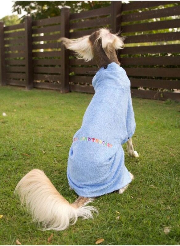 

Rory's Apawthecary Dog Towel, X-Small, Blue
