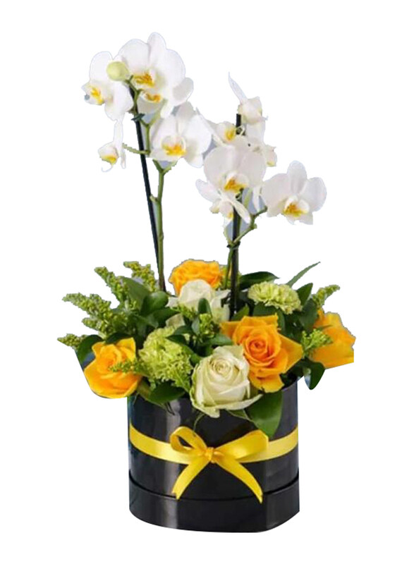 

Generic Care Plants & Flowers in Box, Multicolour