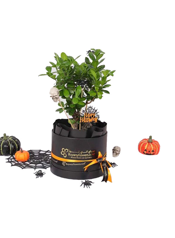 

Generic Halloween Bonsai Plant, Green