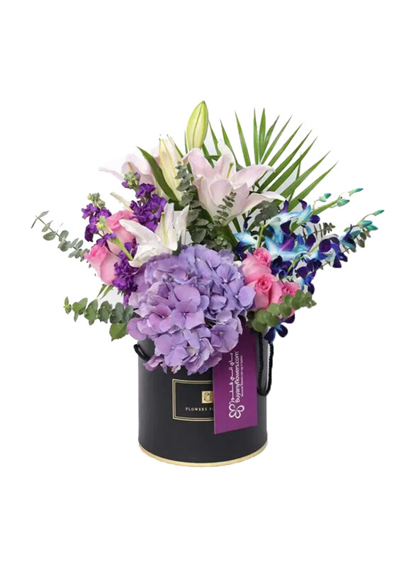 

Generic Icon Flower Box, Multicolour