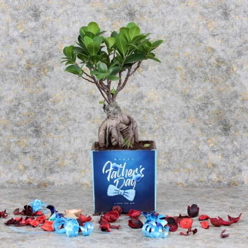 

Generic Fathers Day Bonsai Plant, Green