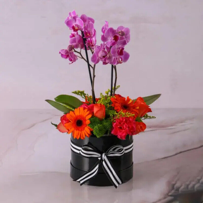 

Generic Fantastic Plants & Flowers in Box, Purple