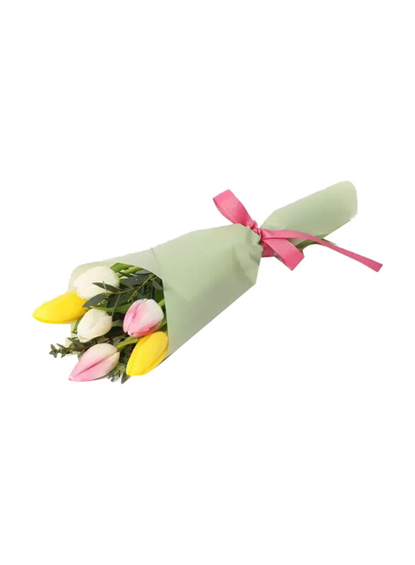 

Generic Natures Bulb 6 Tulips, Multicolour