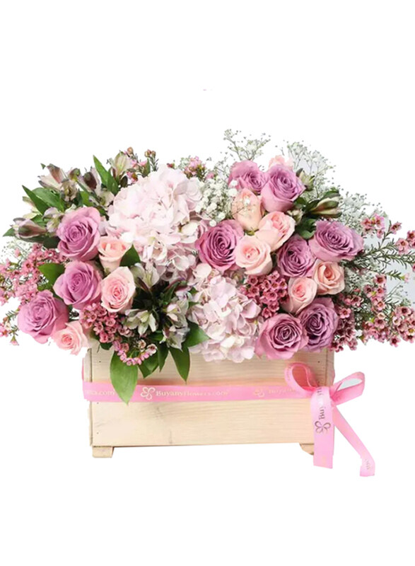 

Generic Pure Love Pastel, Pink