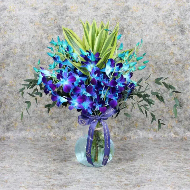 

Generic 11 Orchid In Vase, Blue