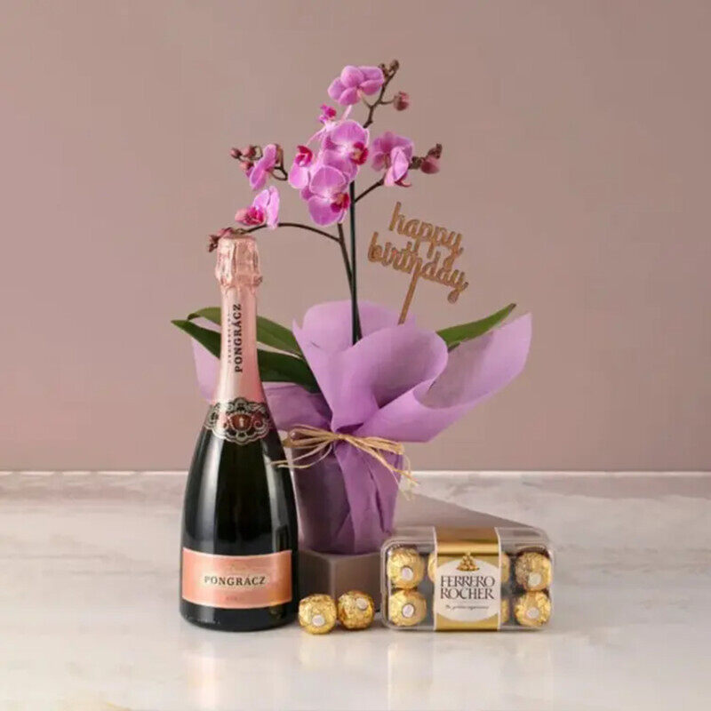 

Generic Mini Orchid Plant with Sparkling Juice & Ferrero, Purple