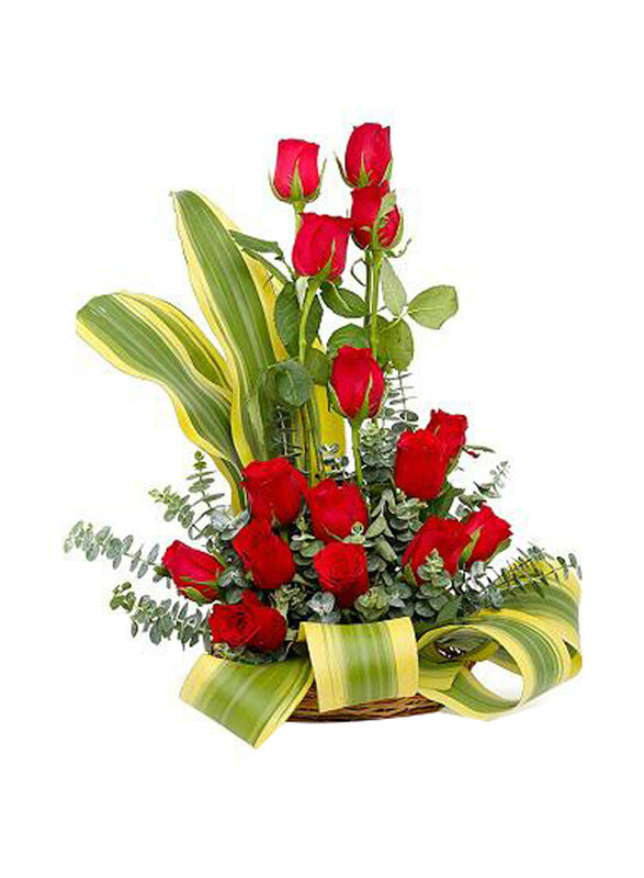 

Carmel Flowers Red Dazzle Basket, Red/Green