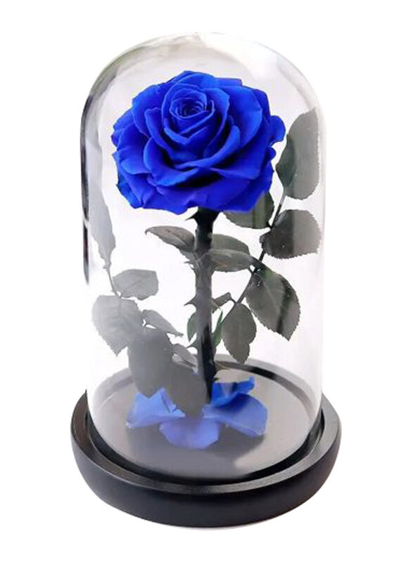 

Carmel Flowers Forever Blue Rose in Glass Dome, Blue