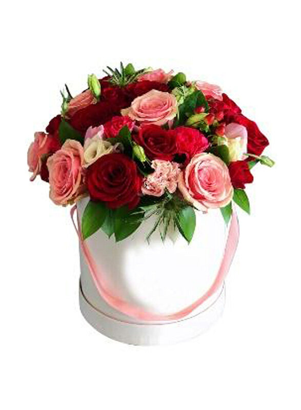 

Carmel Flowers Happy Mixed Flowers Box, Multicolour