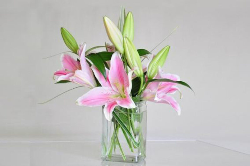 

Carmel Flowers Abundance of Love Lilly in Glass Vase, 3 Pieces, Pink
