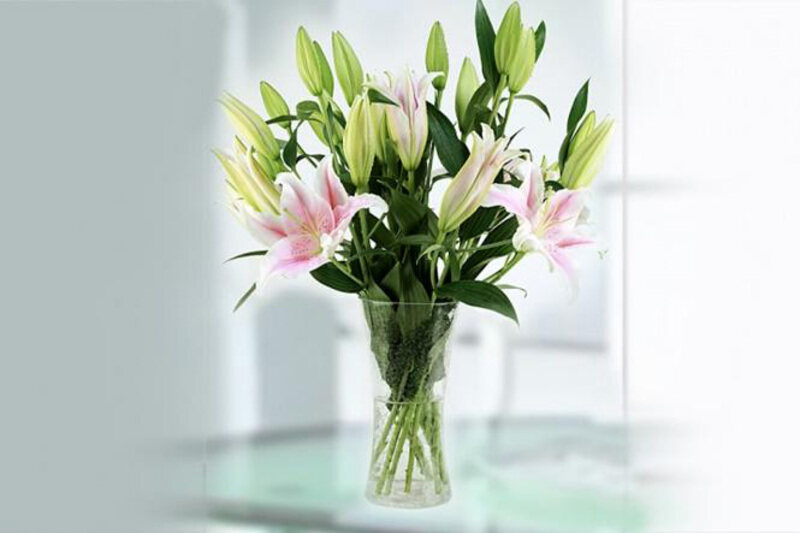 

Carmel Flowers Romantic Lilly Stem Pink Lilly In vase, 5 Pieces, Pink