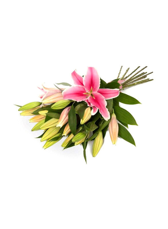

Carmel Flowers Sweet Pink Love Stem Lilly with Wrapping, 5 Pieces, Pink