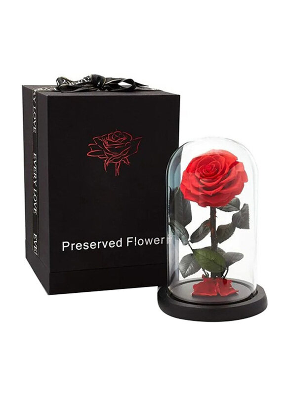 

Carmel Flowers Forever Red Rose in Glass Dome, Red