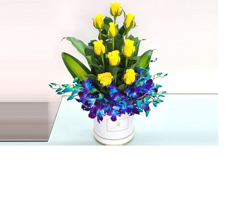 

Carmel Flowers Yellow Roses with Blue Orchid Box, Multicolour